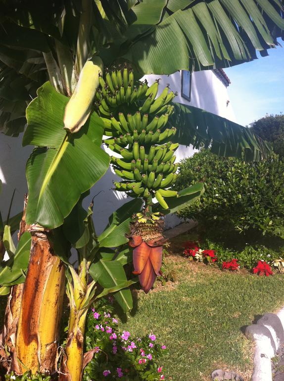 Apartment Eden Island Village Costa Adeje  Exterior photo